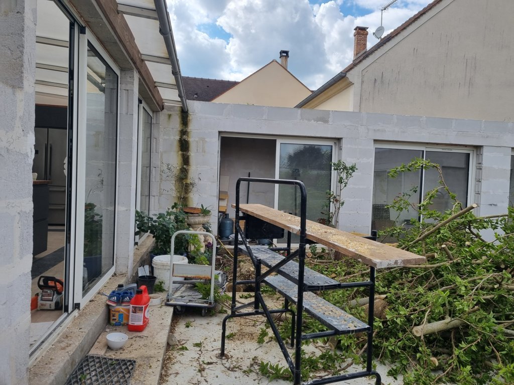 enlevement-arbre2