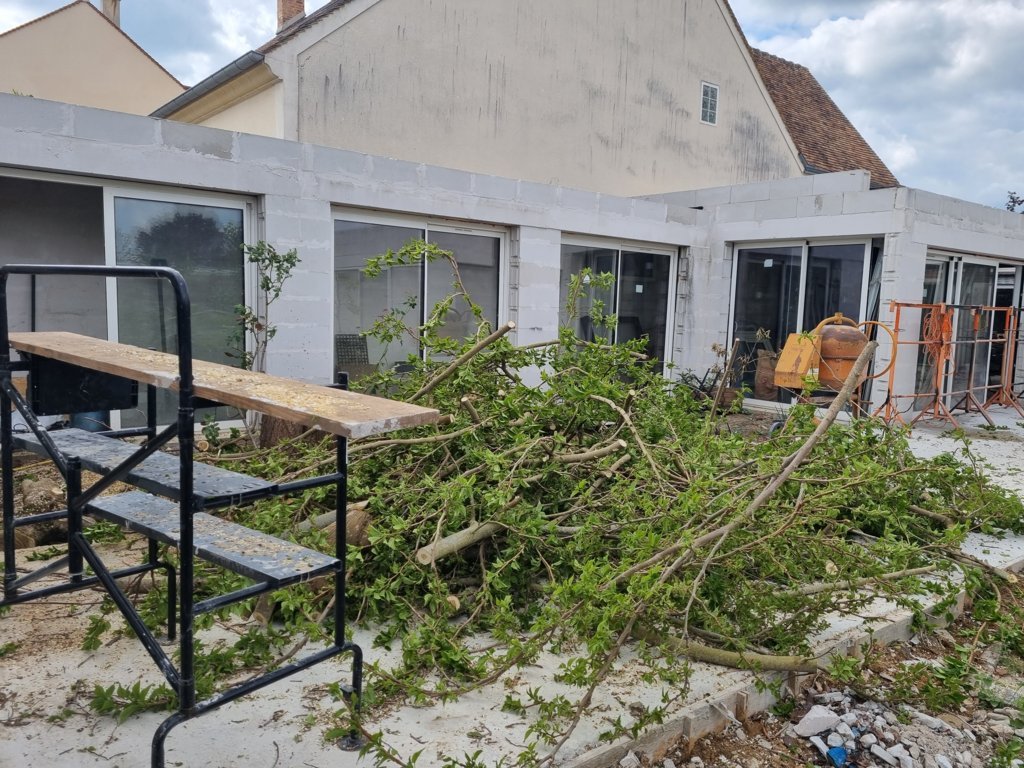 enlevement-arbre3