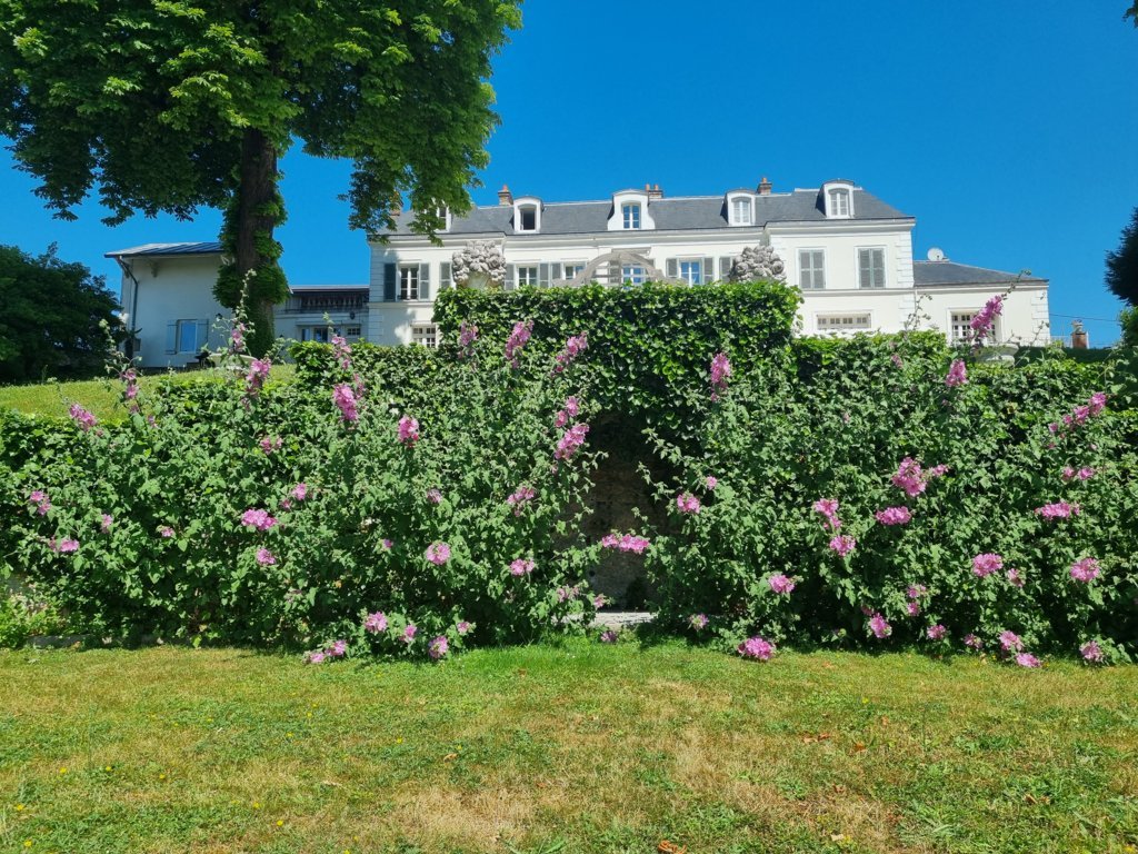 mur-fleurs-chateau