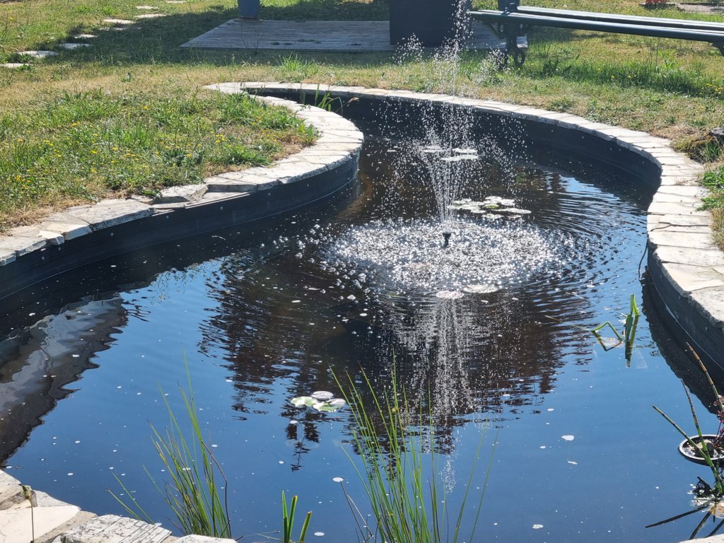 renovation-bassin10