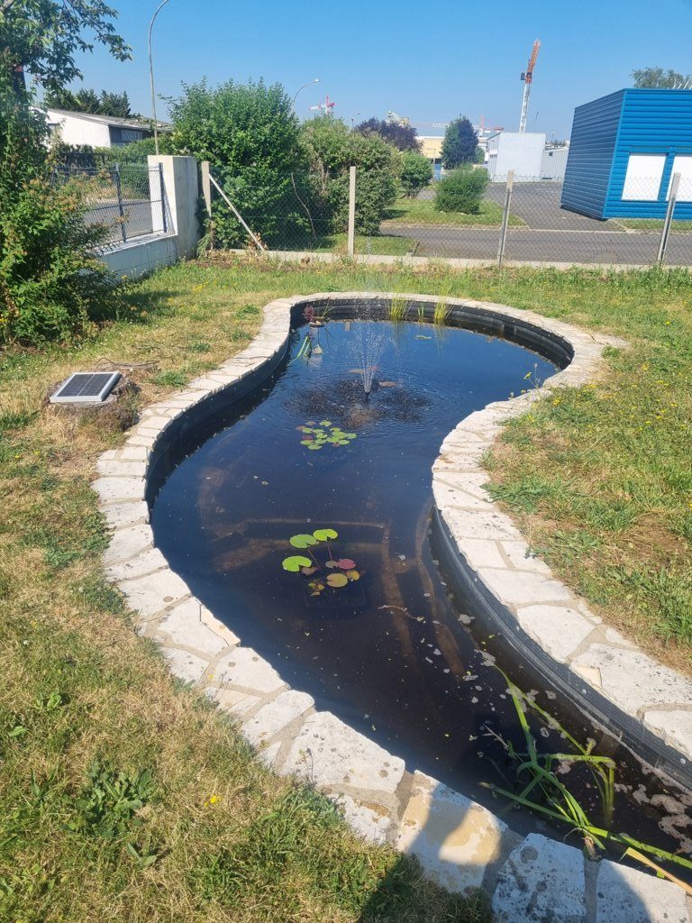 renovation-bassin7