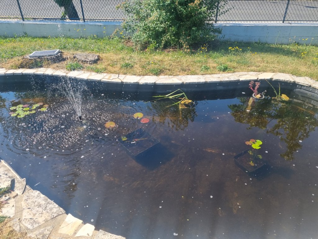 renovation-bassin8
