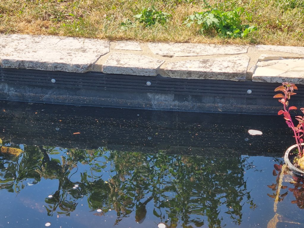 renovation-bassin9